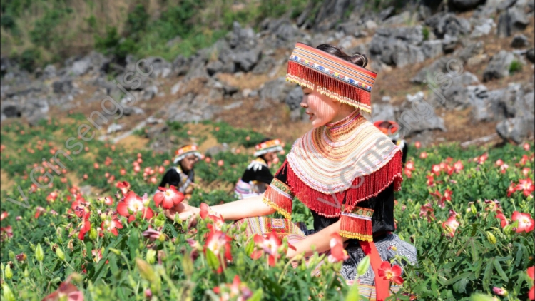 BẢN TÈN - THÁI NGUYÊN