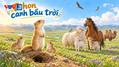 Truyện thiếu nhi: Tí hon canh bầu trời"
