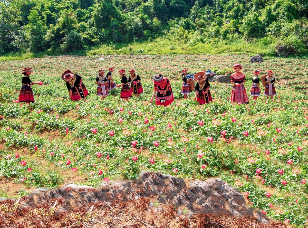 Thung lũng Sâm Bố Chính