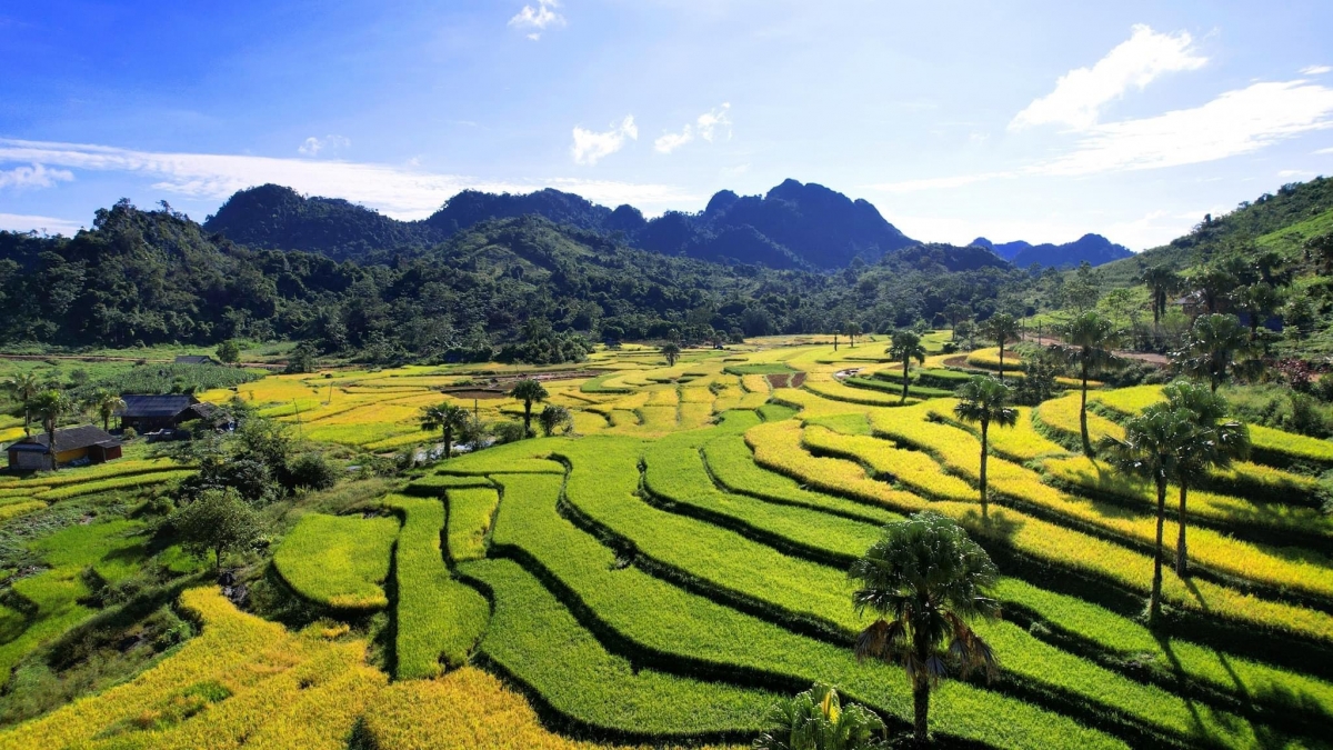 Bản Tèn mùa thu với những thửa ruộng bậc thang đang màu xanh mướt.